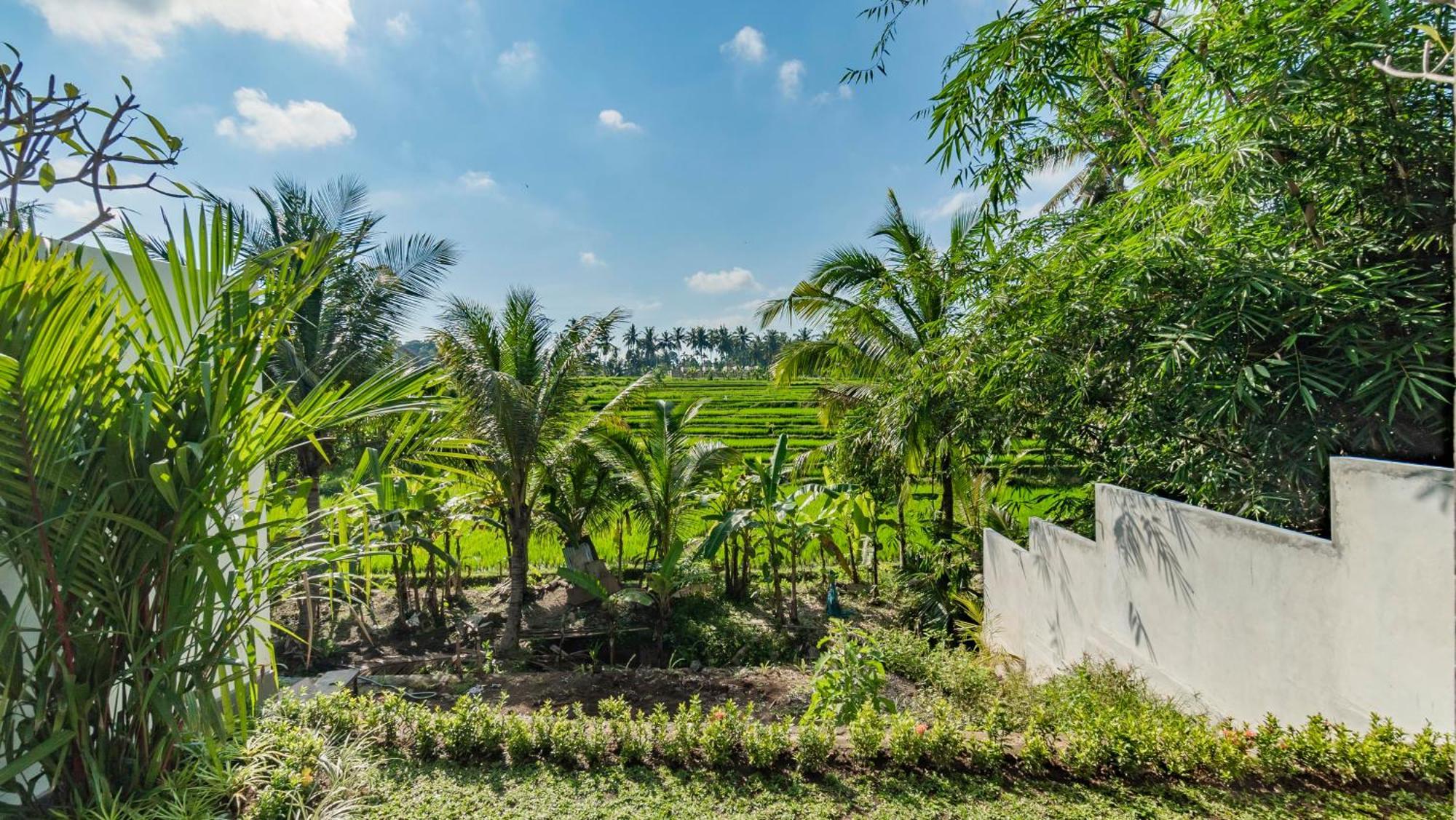 Padi Luwih Villa Ubud Eksteriør bilde