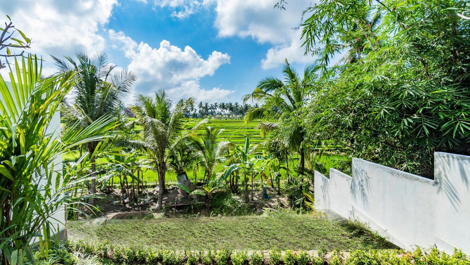 Padi Luwih Villa Ubud Eksteriør bilde